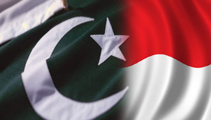  پاکستان اور انڈونیشیا کا دوطرفہ صنعتی اقتصادی تعاون کو مضبوط بنانے پر اتفاق