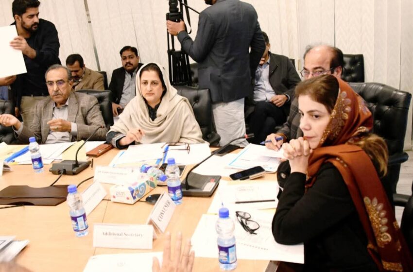  اسٹیل ملز ملازمین و رہائشیوں کے مسائل پر قائمہ کمیٹی کا سخت نوٹس
