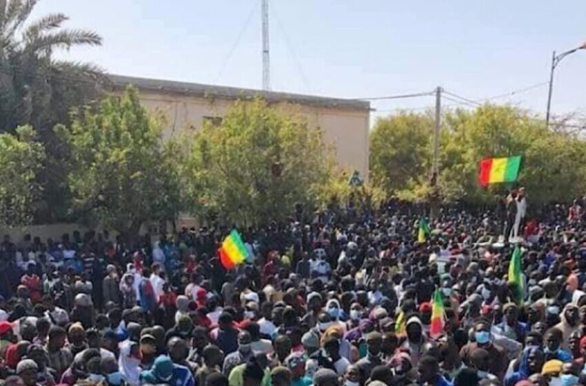  سینیگال کے محنت کشوں کا  8 اپریل کو ملک گیر مارچ کا اعلان