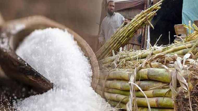  شاہ تاج شوگر ملز کے مزدوروں کا تنخواہوں میں اضافے تک جدوجہد کا اعلان