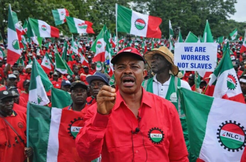  نائیجیریا لیبر کانگریس کے صدر آرتھر عالمی سوینسن پرائز 2026 کے لیے نامزد