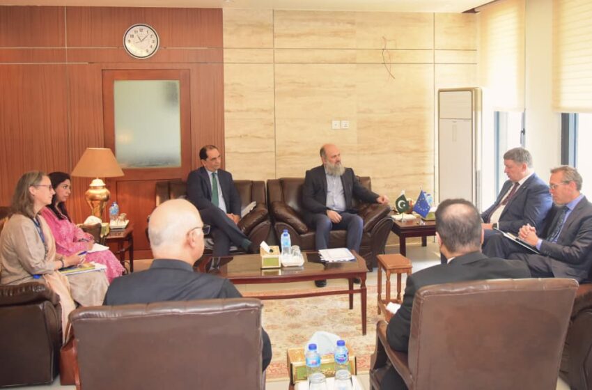  پاک یورپی یونین بزنس فورم کی تیاریاں، وزیر تجارت کی یورپی سفیر سے ملاقات