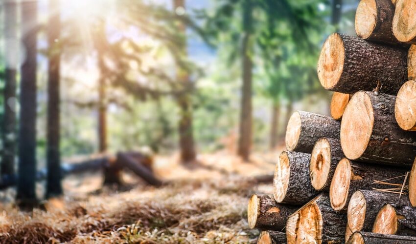  ٹمبر مینوفیکچرنگ مزدرو یونین کی سی ایف ایم ای یو سے علیحدگی مکمل