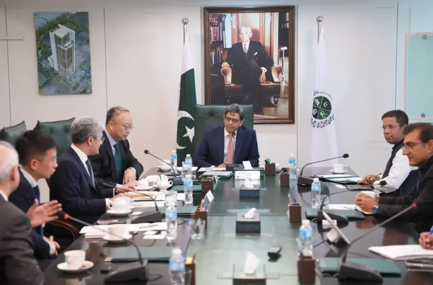 بیجنگ کا پاکستانی صنعت میں طویل مدتی سرمایہ کاری بڑھانے کا فیصلہ