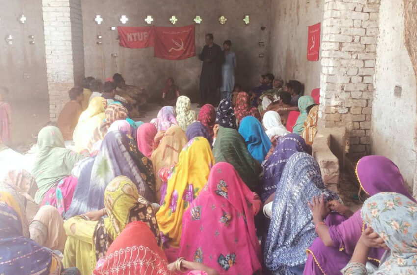  نیشنل ٹریڈ یونین فیڈریشن کا محنت کش کسانوں کے لیے ہاری اسکول کا انعقاد